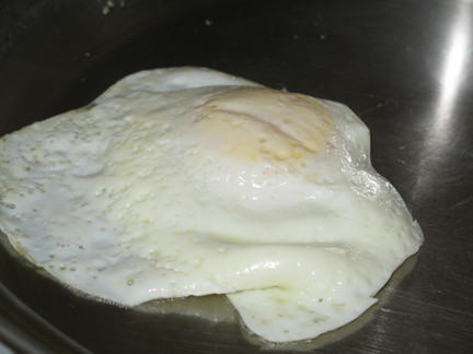 Egg in Stainless Steel Pan -- Everyday Homemaking